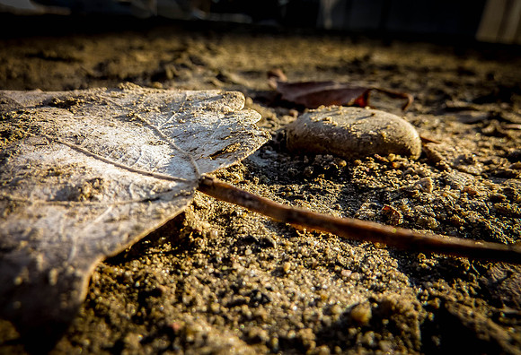 Day 81 - Mar 21: Downtrodden