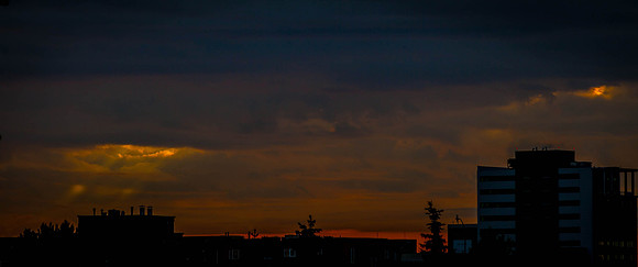 Day 151 - May 30: Peek A Boo