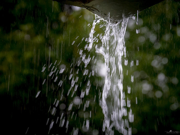 Monsoon Season?