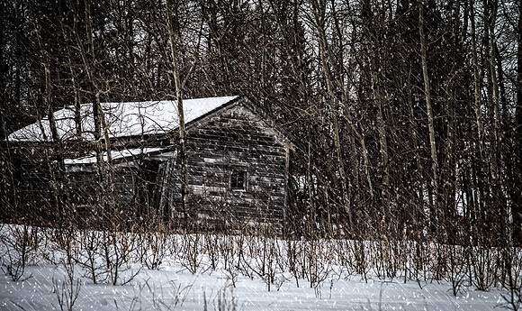 Day 63 - Mar 3: Refuge