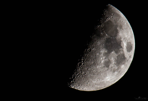 Moon on the Half Shell