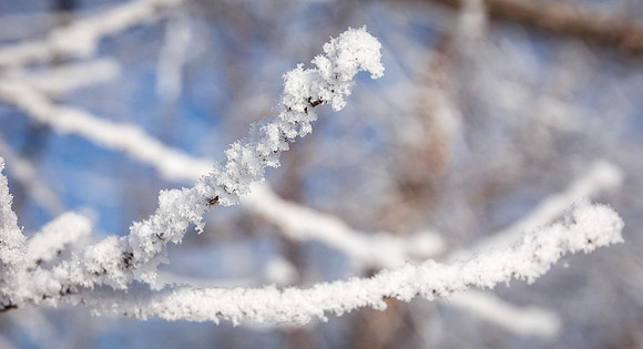 A Touch of Frost