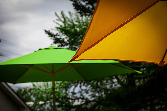 Day 142 - May 21: I'm Ready for the Sun