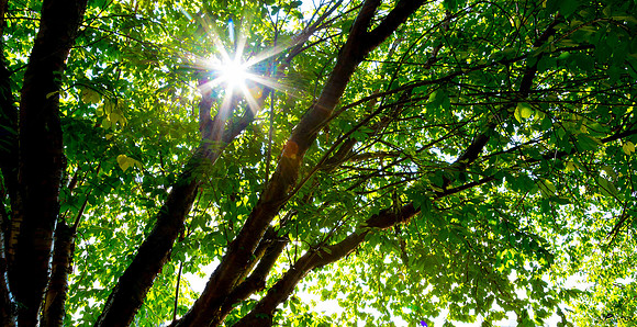 Let The Sun Shine