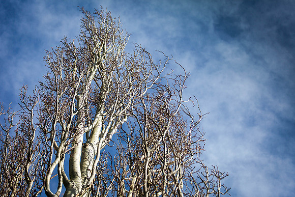 Day 80 - Mar 20: Just Breathe