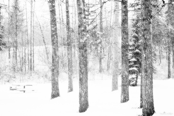 Let the Blizzard Begin