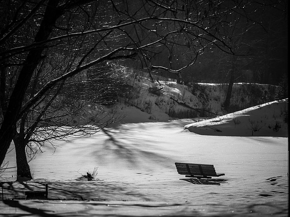 A Little Peace and Quiet