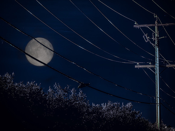 There's A Moon Out Too oo ni ee ight!!