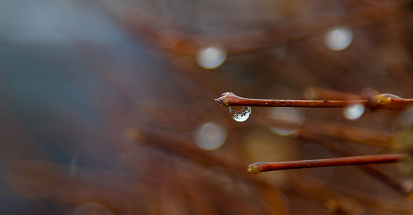 Day 109 - Apr 18: Good To The Last Drop