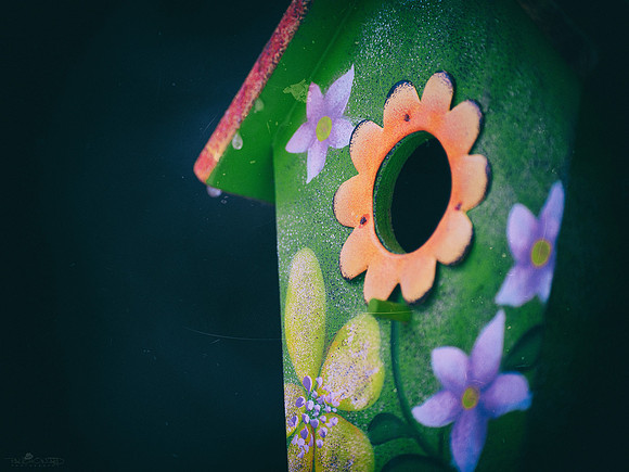 Hopes of Spring