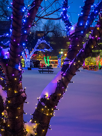 City Hall Park, Red Deer
