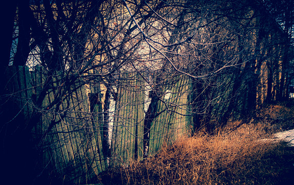 Day 71 - Mar 11: Sleepy Hollow
