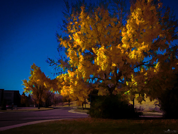 Not so Mellow Yellow