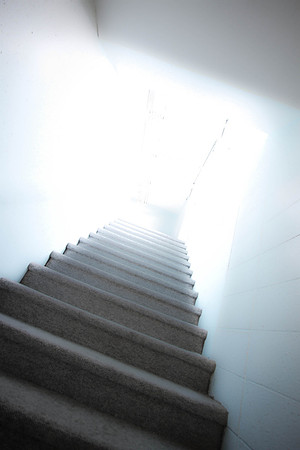 Day 38 - Feb 7: Come Into the Light